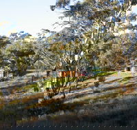 Molly's Chase - Accommodation Mooloolaba