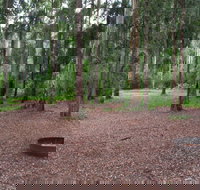 Murphys Glen campground - Accommodation Mooloolaba