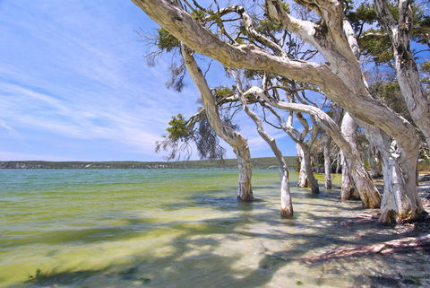 Shoal Cape Camp At Stokes National Park - Accommodation Mooloolaba 0