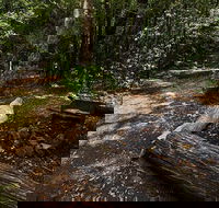 Wombat Creek campground - Accommodation Mooloolaba
