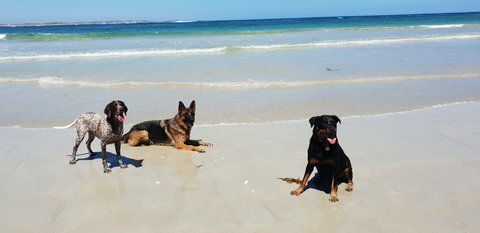 BIG4 Warrnambool Figtree Holiday Park - Accommodation Mooloolaba 2