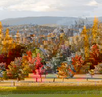 City Centre Motor Inn - Accommodation Mooloolaba