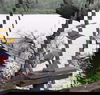 Clyde River Cottage - Accommodation Mooloolaba