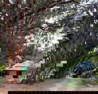 Fernleigh Accommodation - Accommodation Mooloolaba