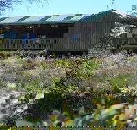 Melaleuca - Eco and Pet Friendly  Harbor Point Cabins - Accommodation Mooloolaba