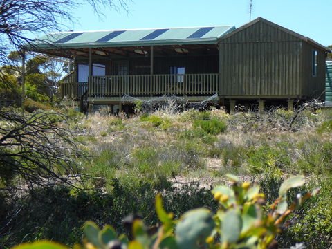 Melaleuca - Eco And Pet Friendly,  Harbor Point Cabins - Accommodation Mooloolaba 0