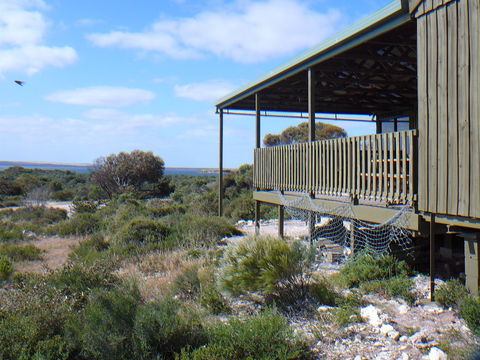 Melaleuca - Eco And Pet Friendly,  Harbor Point Cabins - Accommodation Mooloolaba 1