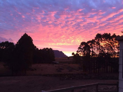 White Hawk Accommodation - Accommodation Mooloolaba 1