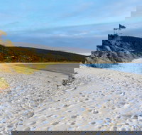 White Beach Tourist Park - Accommodation Mooloolaba