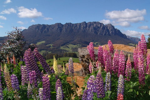 AAA Granary Accommodation - The Last Resort - Accommodation Mooloolaba 0