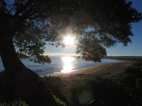 Apex Beachside Holiday Park - Accommodation Mooloolaba 1