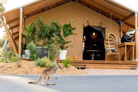 BIG4 Anglesea Holiday Park - Accommodation Mooloolaba 2