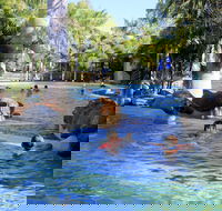 Big4 Aussie Outback Oasis Holiday Park - Accommodation Mooloolaba