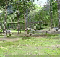 Broadwater camping area Abergowrie State Forest - Accommodation Mooloolaba