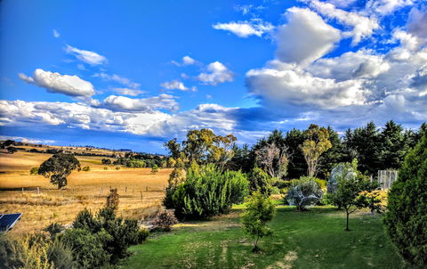Dairy Park Farm Stay Bed And Breakfast - Accommodation Mooloolaba 1