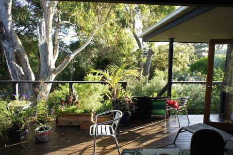 Kookaburra Dreaming - Accommodation Mooloolaba 2