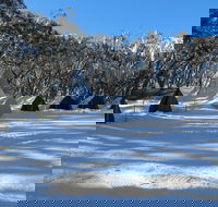 Mt Stirling Alpine Winter Camp - Accommodation Mooloolaba