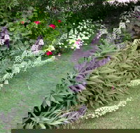 Padthaway Caravan Park - Accommodation Mooloolaba