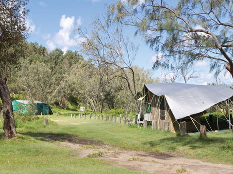 Pebbly Beach Campground - Yuraygir National Park - Accommodation Mooloolaba 0