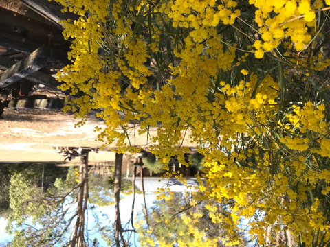 Possum's Hollow And Hooter's Hut - Accommodation Mooloolaba 1