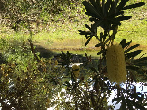 Possum's Hollow And Hooter's Hut - Accommodation Mooloolaba 2