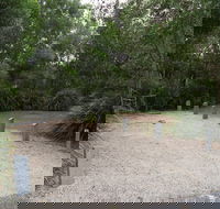 Springbrook National Park camping - Accommodation Mooloolaba