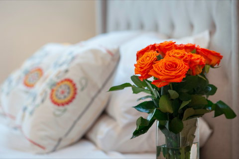 The Nest At Gundaroo - Accommodation Mooloolaba 1