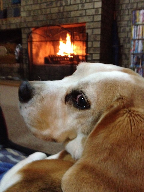 The Retreat On Matthew - Accommodation Mooloolaba 1