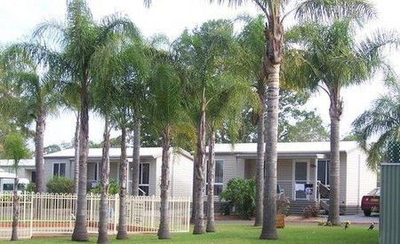 Treehaven Tourist Park - Accommodation Mooloolaba 3