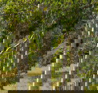 Stringybark Cottages - Accommodation Mooloolaba