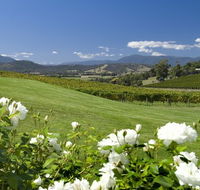 Balgownie Estate Vineyard Resort and Spa - Accommodation Mooloolaba