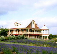 Serendipity Lavender Farm - Accommodation Mooloolaba