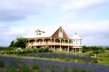 Serendipity Lavender Farm - Accommodation Mooloolaba 0