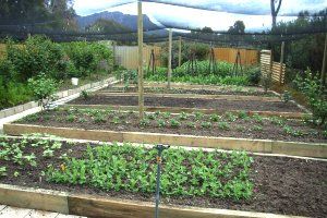 Wartook Gardens - Accommodation Mooloolaba 3