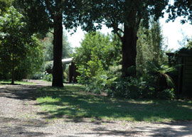 Bloomfield Cottages - Accommodation Mooloolaba 2