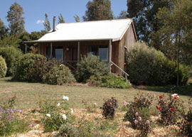 Bloomfield Cottages - Accommodation Mooloolaba 3