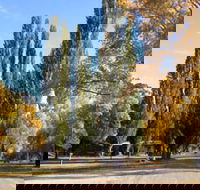 Omeo Caravan Park - Accommodation Mooloolaba