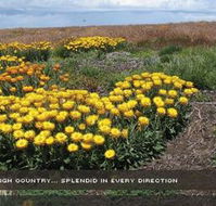 Alpine View Apartments - Accommodation Mooloolaba