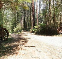 Hill n Dale Farm Cottages - Accommodation Mooloolaba