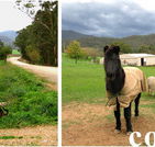 Emerald Park Holiday Farm - Accommodation Mooloolaba