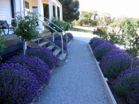Canadian Lodge - Accommodation Mooloolaba 3