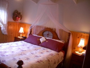 Alfay Cottage - Accommodation Mooloolaba 1
