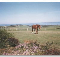 First Class Bed and Breakfast - Accommodation Mooloolaba