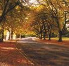 La Trobe at Beechworth - Accommodation Mooloolaba