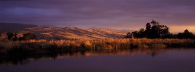 Wombat Hills Cottages - Accommodation Mooloolaba 3