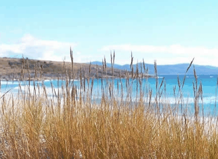 White Sands Estate - Accommodation Mooloolaba