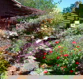 Chestnut Brook Cottage - Accommodation Mooloolaba