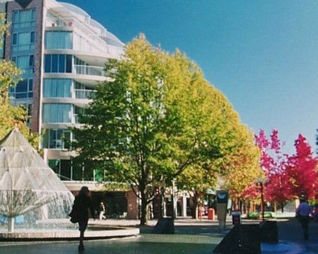 Canberra Wide Apartments - City Plaza - Accommodation Mooloolaba 2