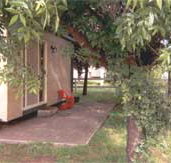 Carinya Cabins  Caravan Park - Accommodation Mooloolaba