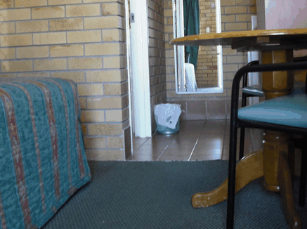 Dragon  Phoenix Motel - Accommodation Mooloolaba